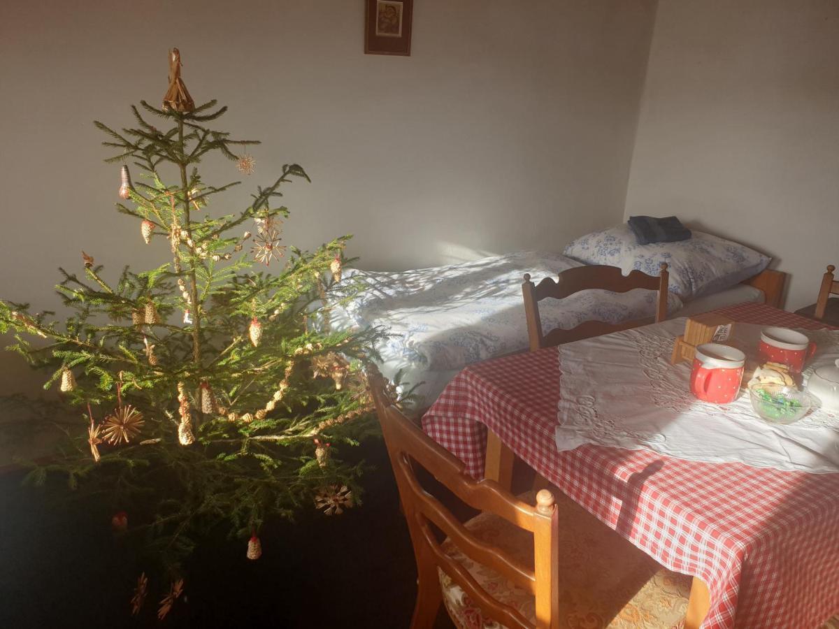 Apartman U Muzikanta Cesky Krumlov Exterior photo